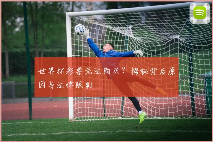 世界杯彩票无法购买？揭秘背后原因与法律限制
