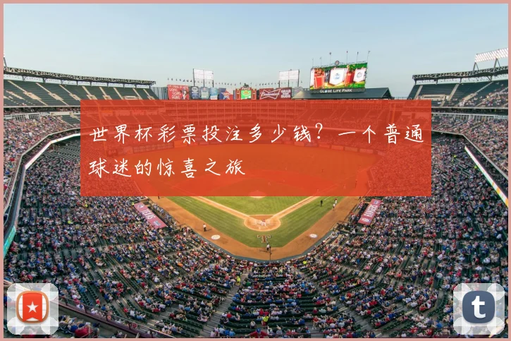 世界杯彩票投注多少钱？一个普通球迷的惊喜之旅