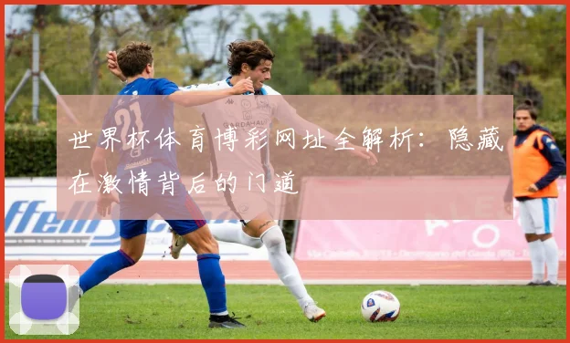 世界杯体育博彩网址全解析：隐藏在激情背后的门道