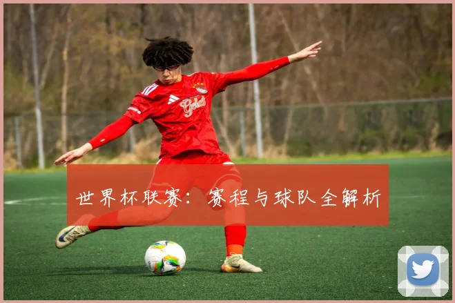 世界杯联赛：赛程与球队全解析