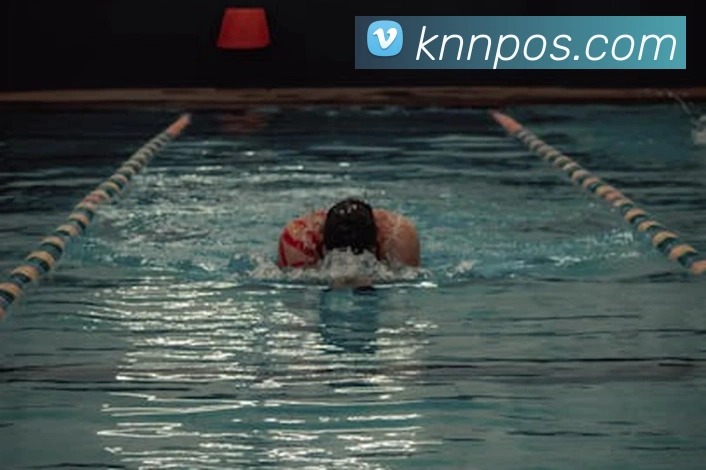 开云手机入口登录官网平台生态图